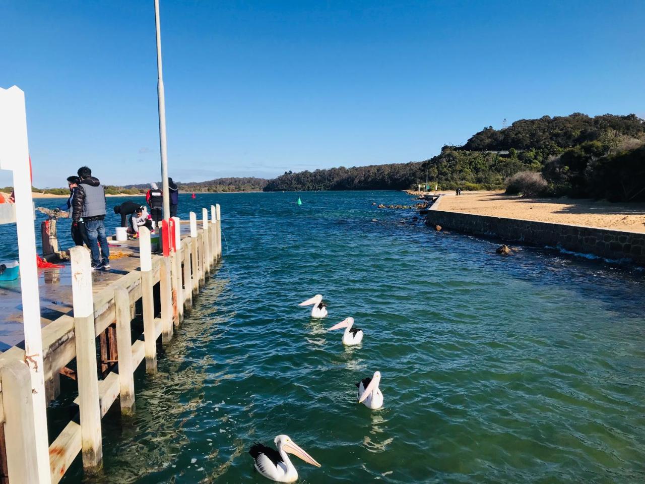 Black Swan Motor Inn Lakes Entrance Exterior foto